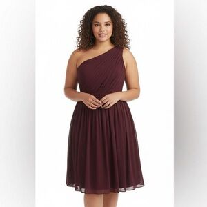NWT J Crew Plus Size 22 Kylie Dress 1 Shoulder Silk Chiffon Cabernet Bridesmaid